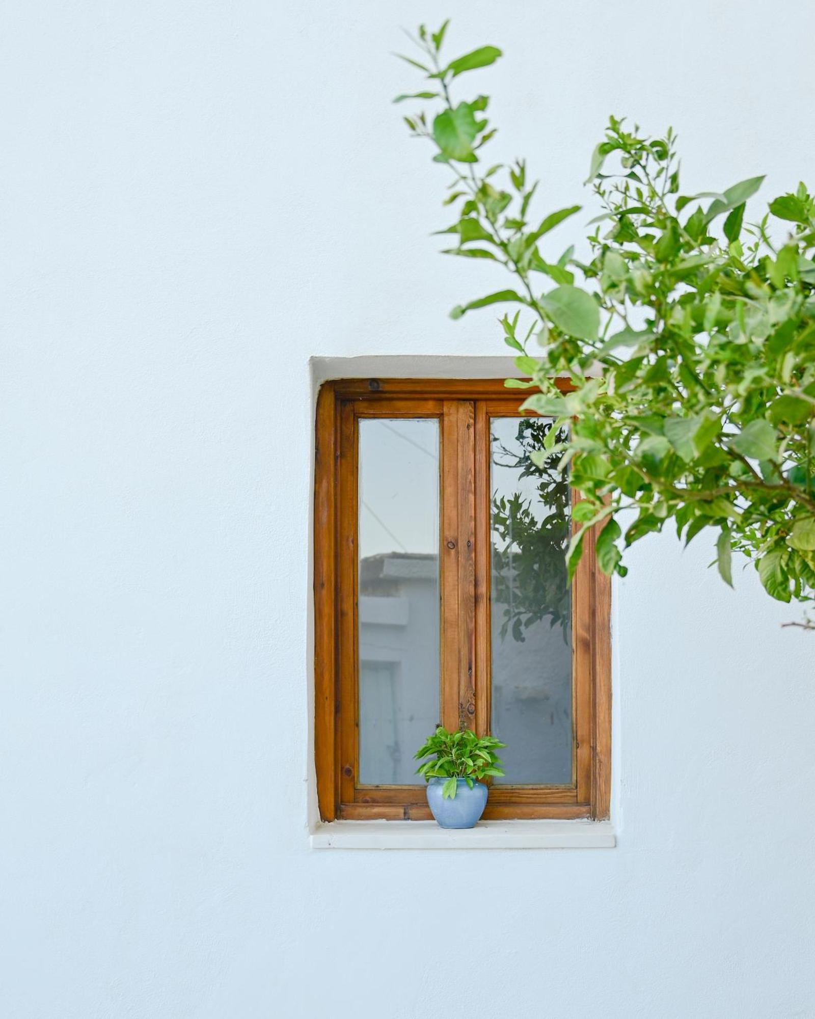 Dimitras House